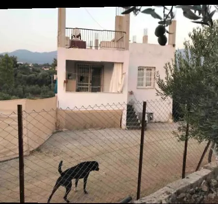 Emirhan 2, Doga Ile Vadi Icinde, Sakinlik *